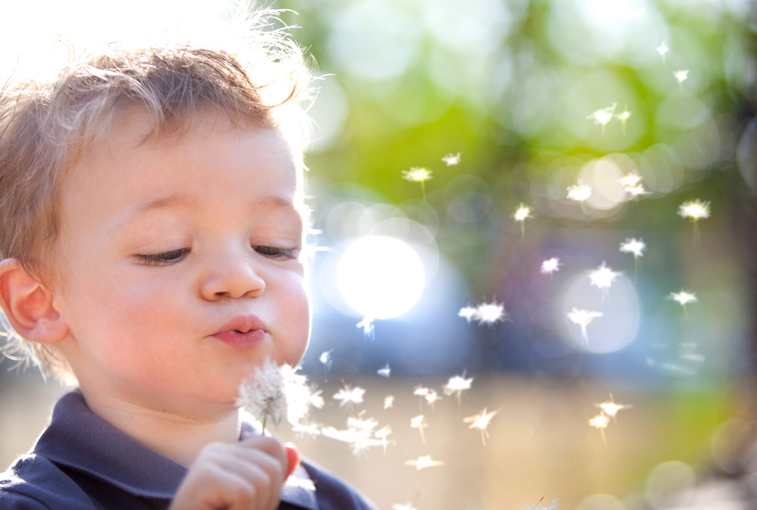 Picture of a child blowing a dandilion
